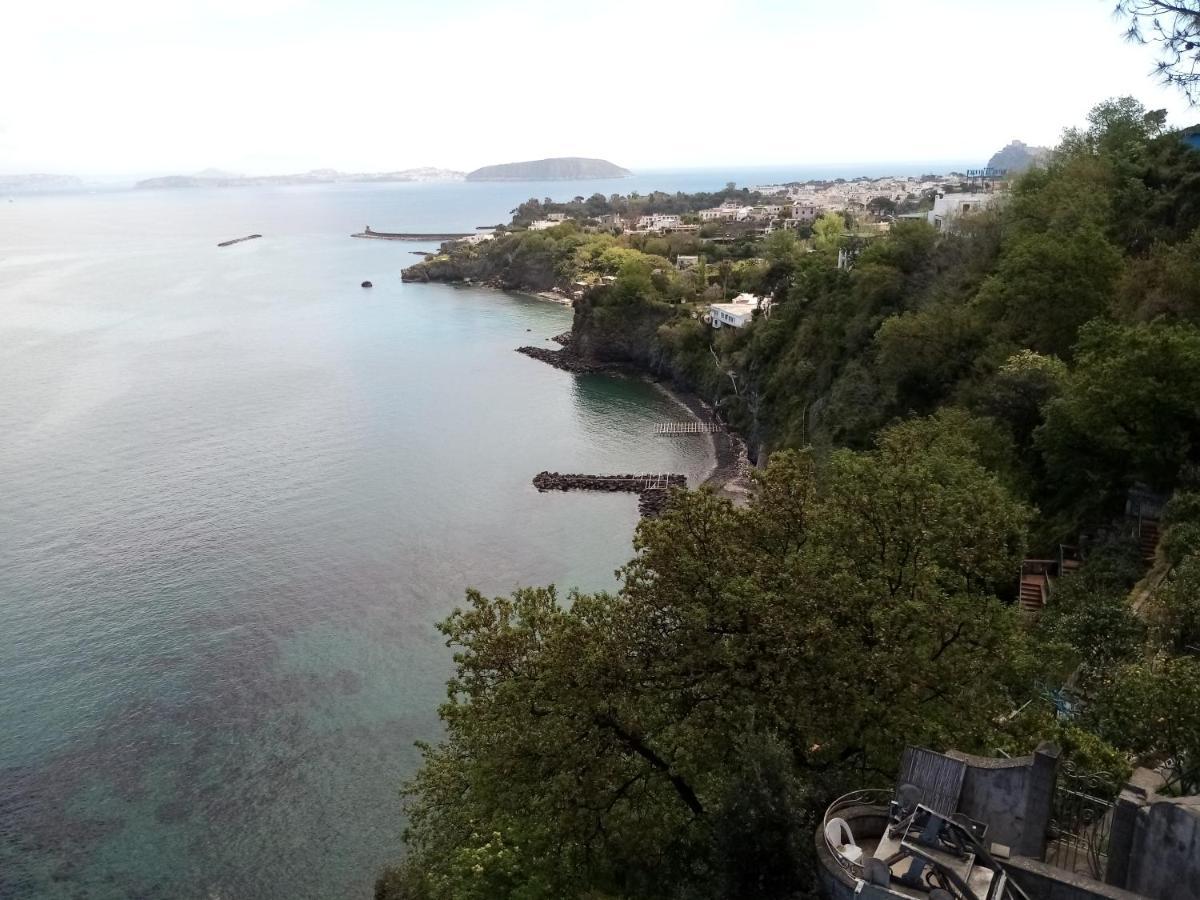 L'Incanto Suites Ischia カザミッチョラ・テルメ エクステリア 写真